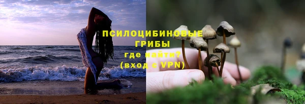 ECSTASY Магас