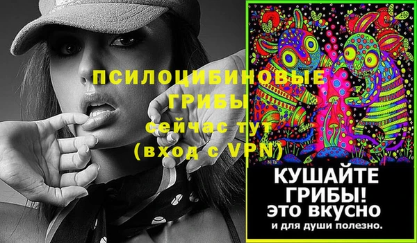 стафф Алзамай