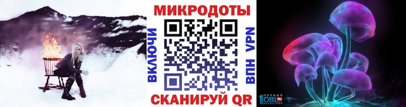 Псилоцибиновые грибы Psilocybine cubensis  Похвистнево 